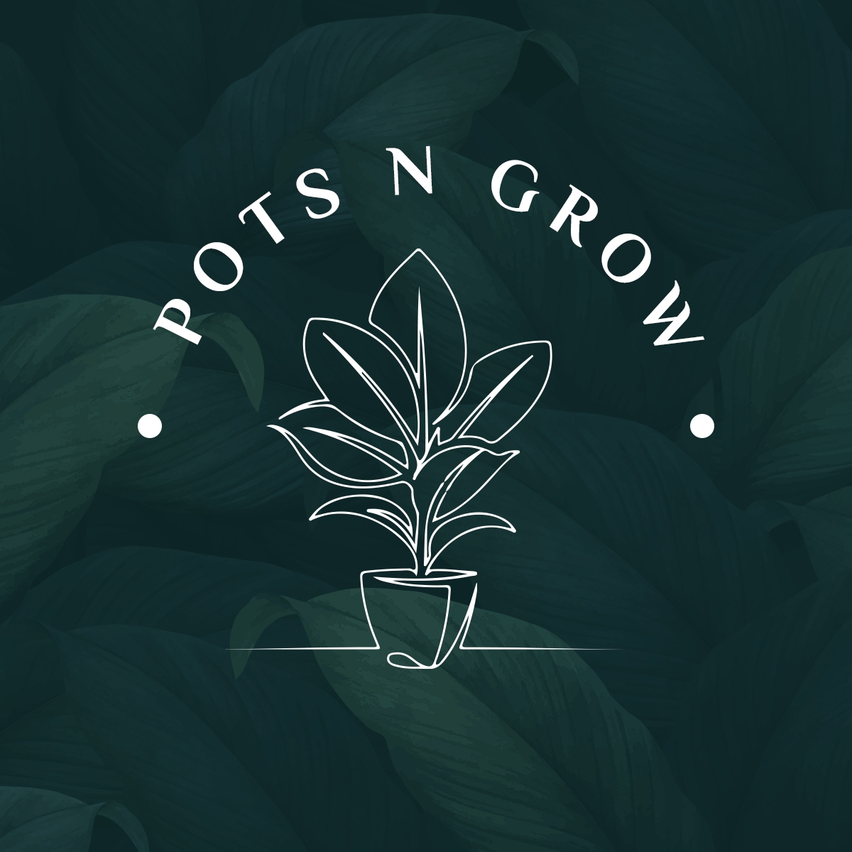 Pots n Grow