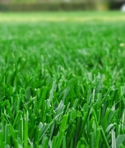 Lawn Rules