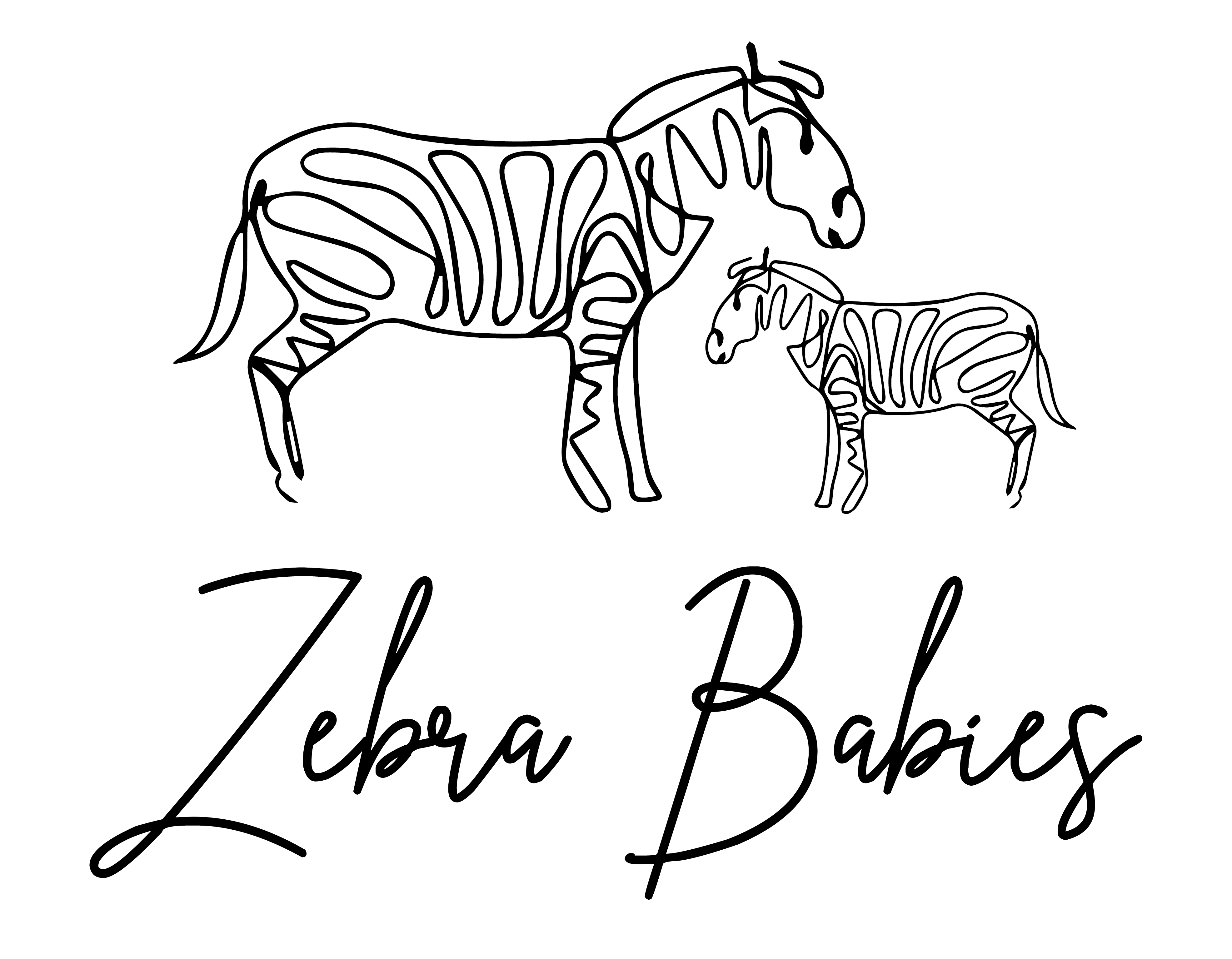 Zebra Babies