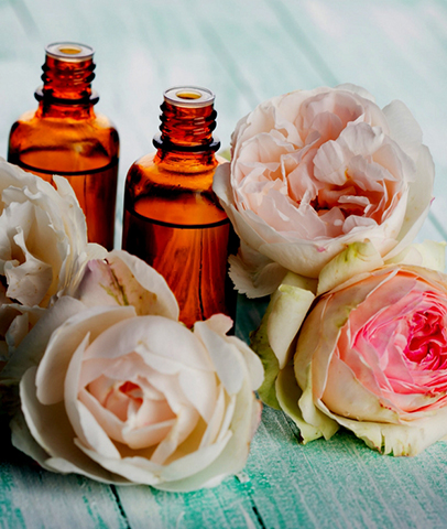 Scent Of Life
