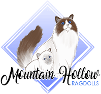 Mountain Hollow Ragdolls